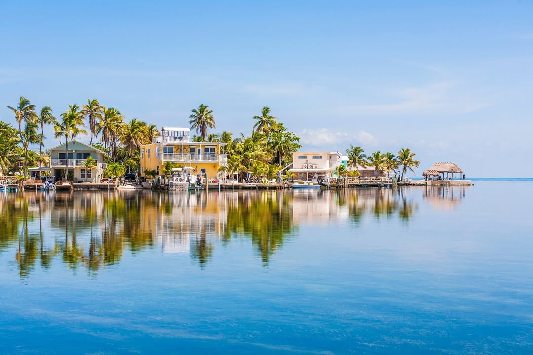 st petersburg, clearwater real estate